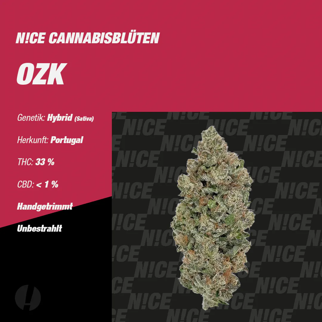 NICE 33/1 OZK Produktfoto