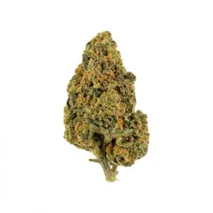 Image of NICE 26/1 CHA