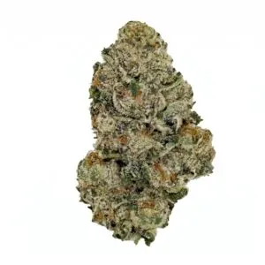 Image of Barongo 18/1 WG