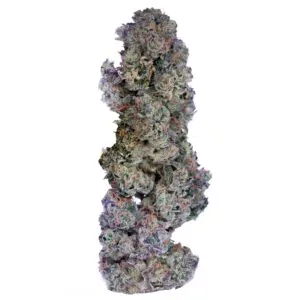 Image of Bathera 28 CA AB