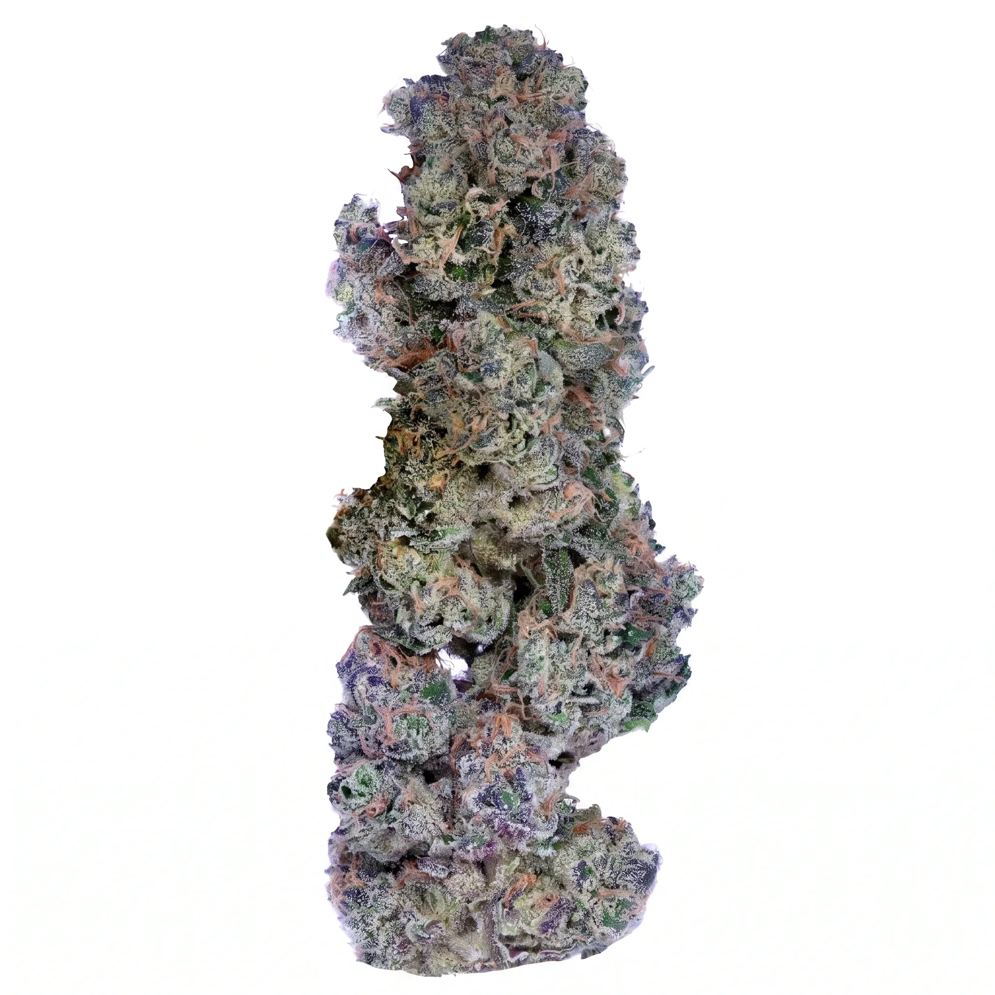 Image of Bathera 28 CA AB