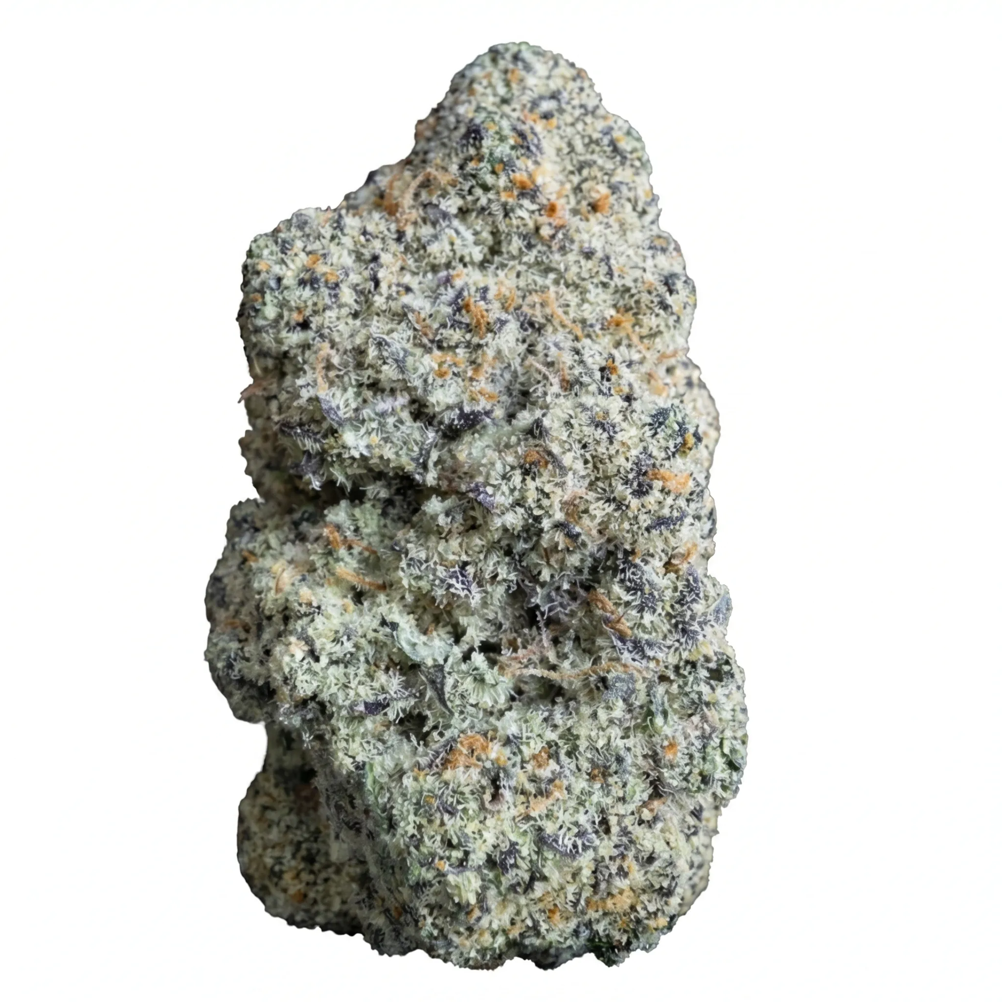 Image of Kraut Co. Chimera 21/1