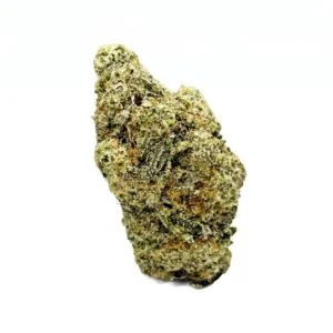 Image of NICE 24/1 MAC1