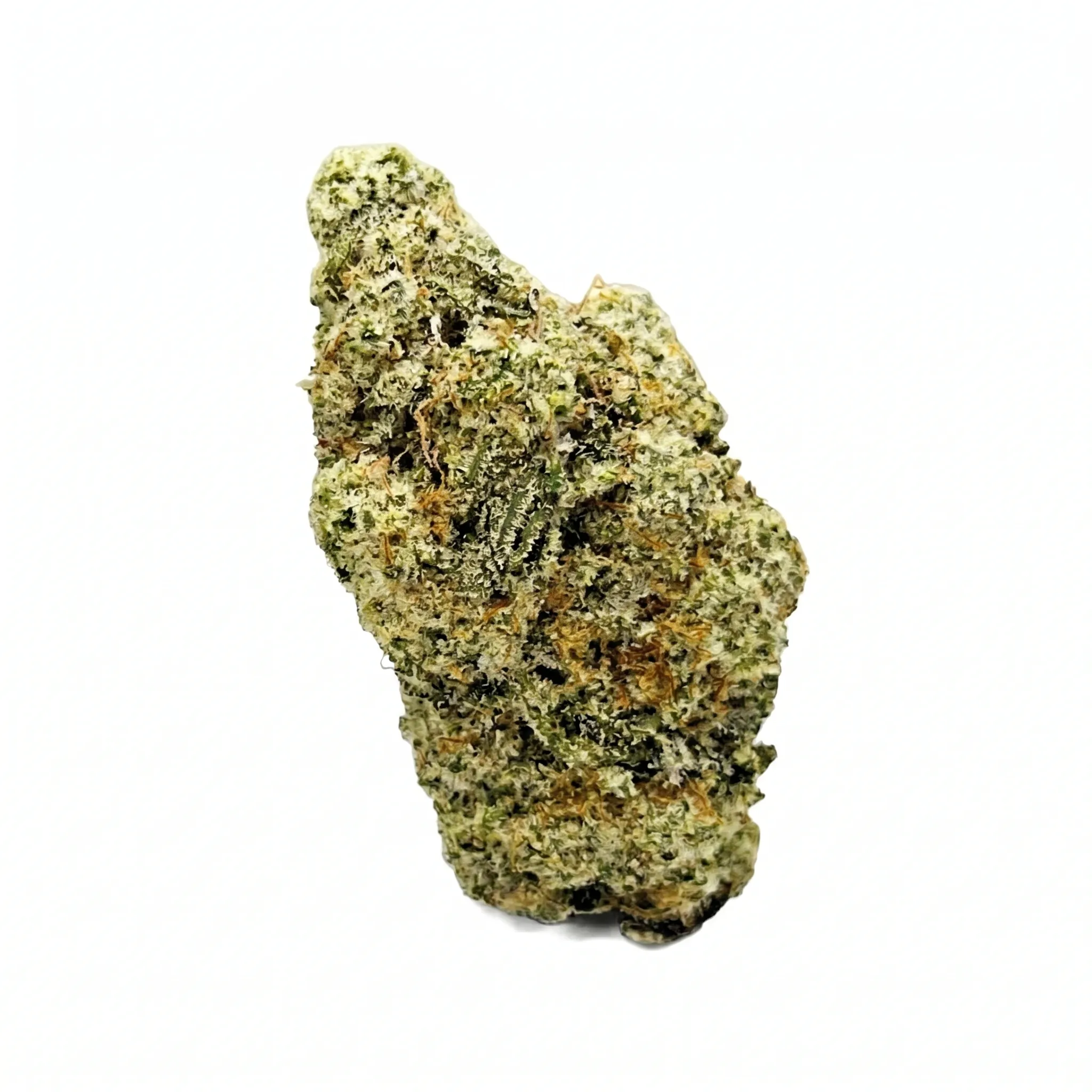 NICE 24/1 MAC1 product photo