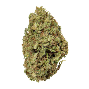 Image of Social Choice 18/1 GRO ASH