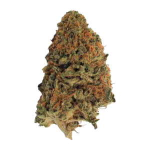 Image of Medical Saints 27/1 PKG