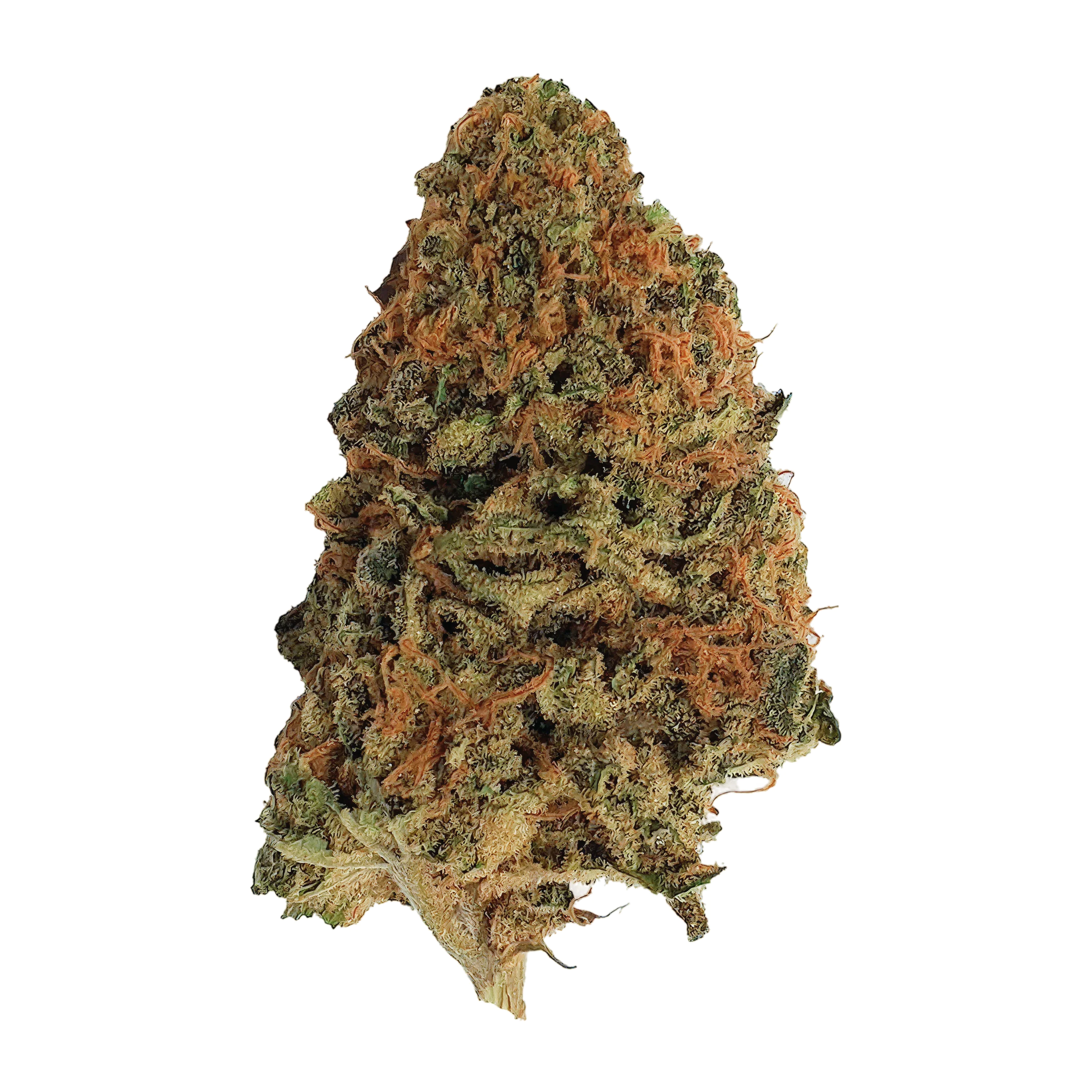 Image of Medical Saints 27/1 PKG