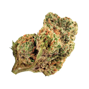 Image of enua 30/1 CNS CA