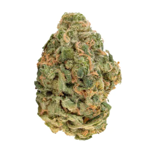Image of Gripon420 24/1 FLF