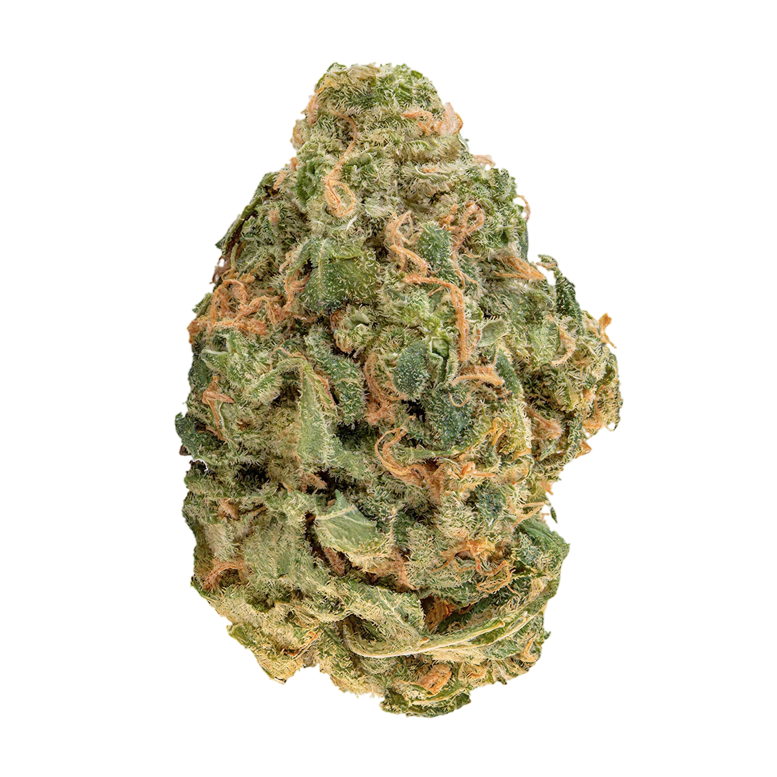 Bathera THC akut OHS 22 TC Produktfoto