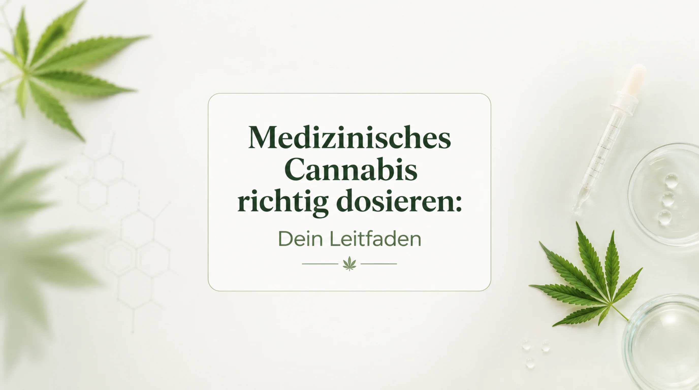 Medizinisches Cannabis richtig dosieren: Dein Leitfaden für Einstieg, Steigerung & Obergrenzen