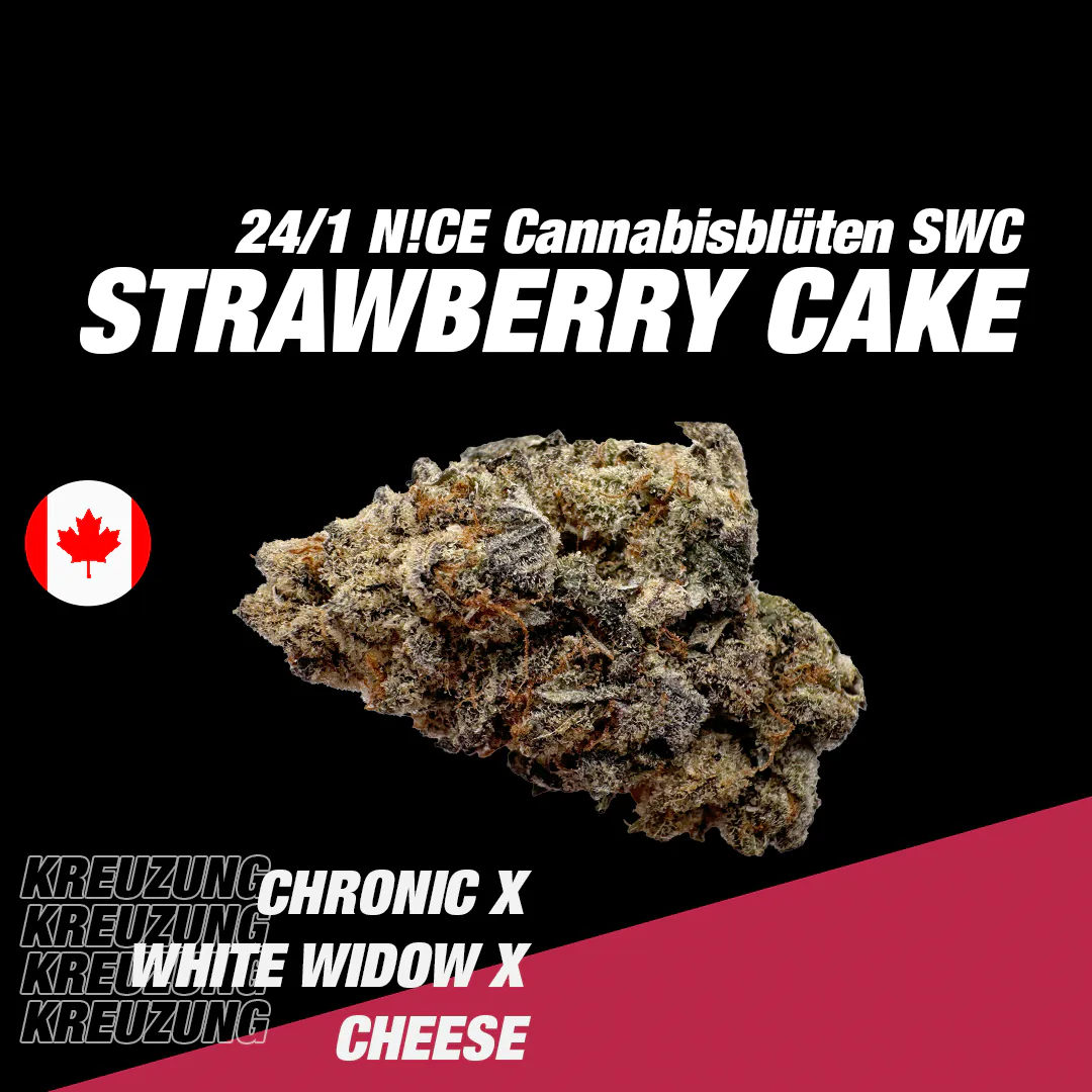 Image of NICE 24/1 SWC