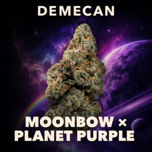 Image of Demecan BB Regular Drop 25:01 MxPP
