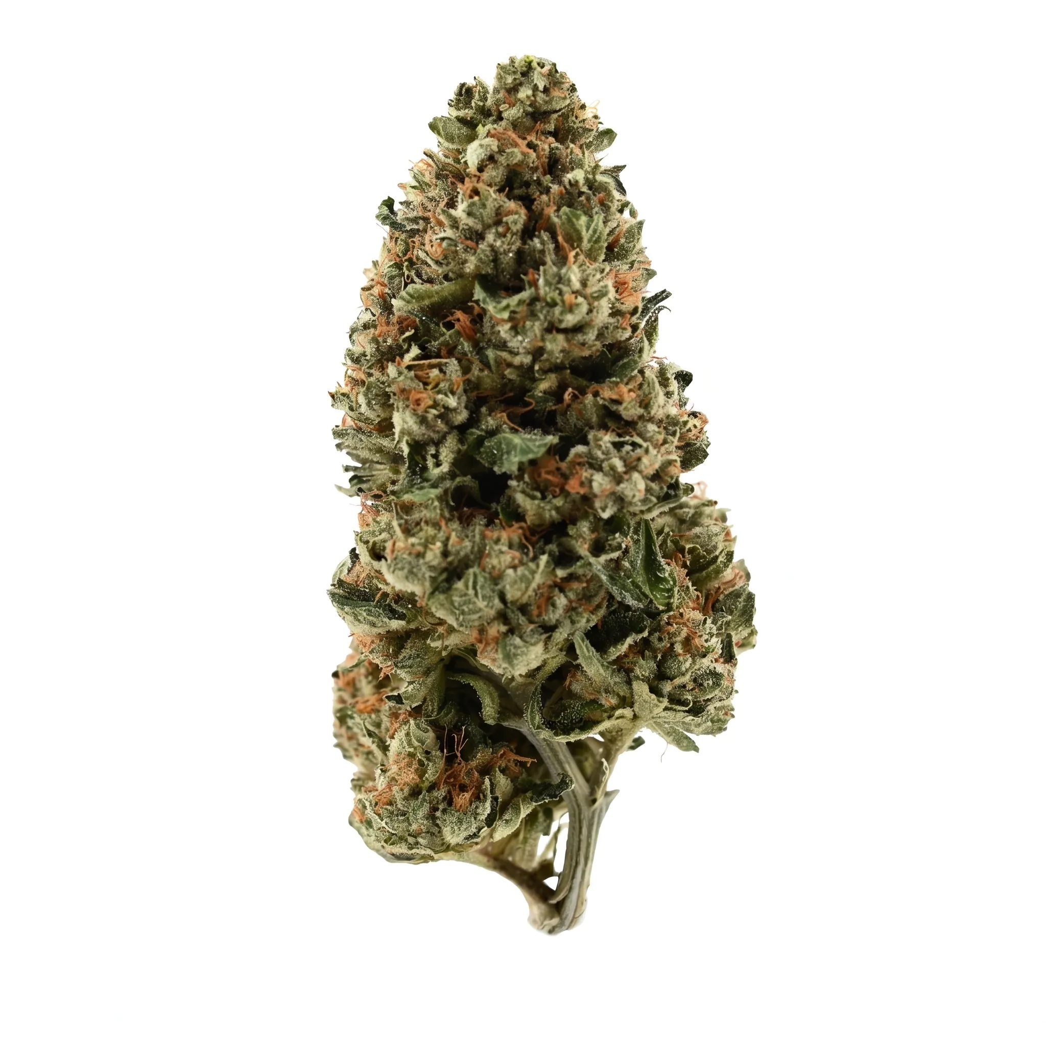 Demecan PS Epic Drop 30/1 product photo