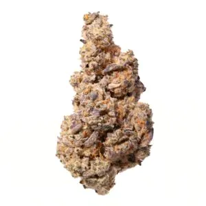 Image of enua 30/1 AT2 CA MAM