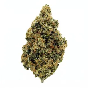 Image of NICE 22/1 SWC