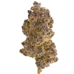 Image of gramz. 001 SB 25/1