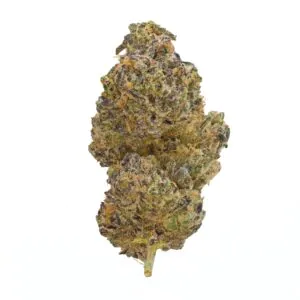Image of gramz. 002 RC 30/1