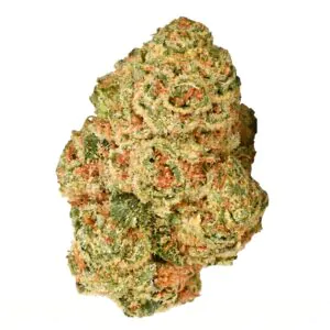 Image of enua 27/1 DGB CA