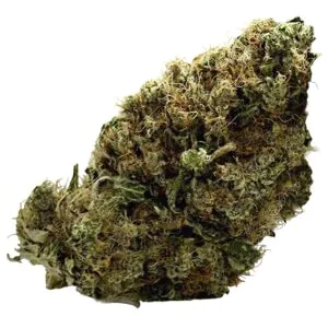 Image of enua 25/1 FPW CA