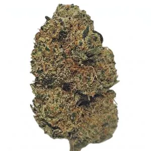 Image of enua 30/1 NLP CA