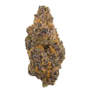 Image of TREATZ FZ 25/1