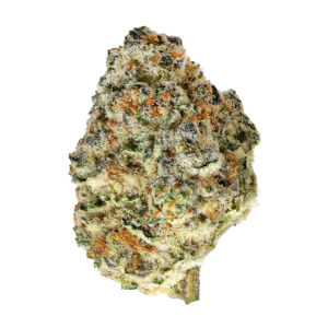 Image of MH SLG Blackscotti 18/1