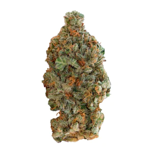 Image of Remexian 30/1 C3 GSZ