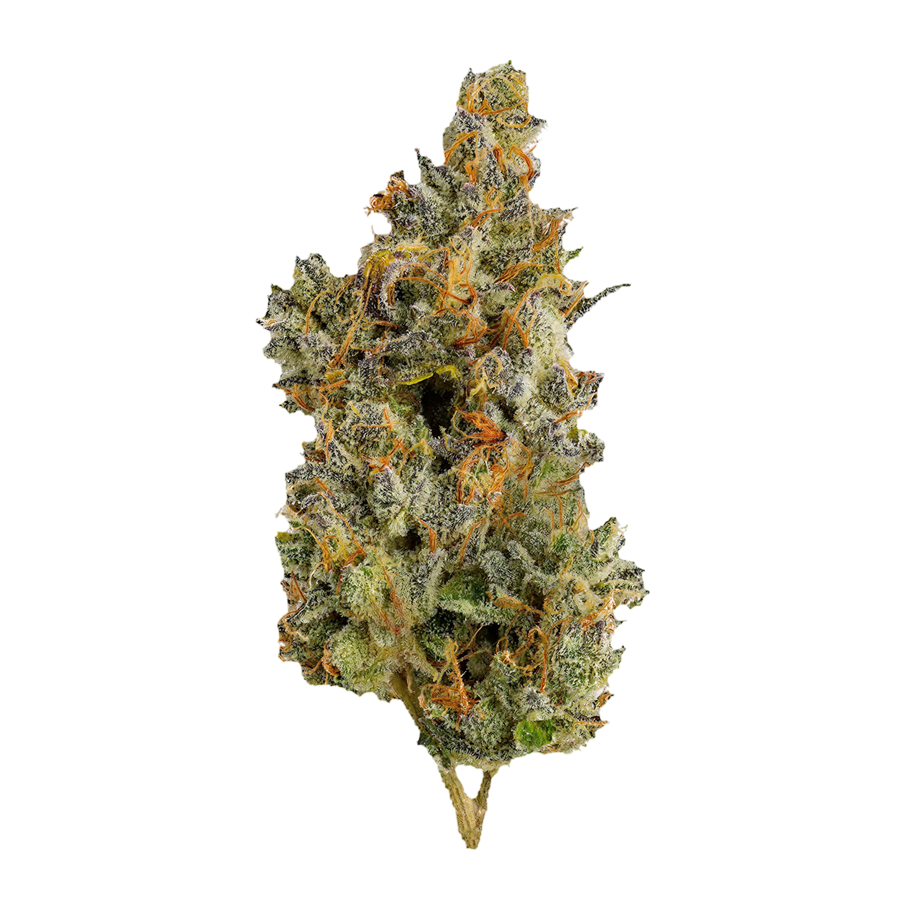 Image of Tweed DIO 30/1