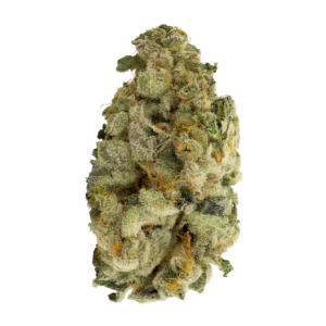 Image of Medical Saints 30/1 SRD