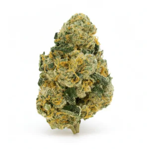 Image of 28/1 NICE WPG