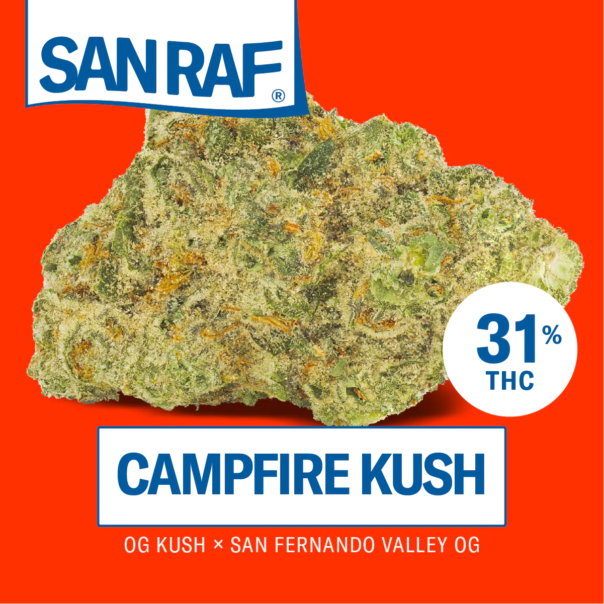 Image of San Raf 31/1 CFK