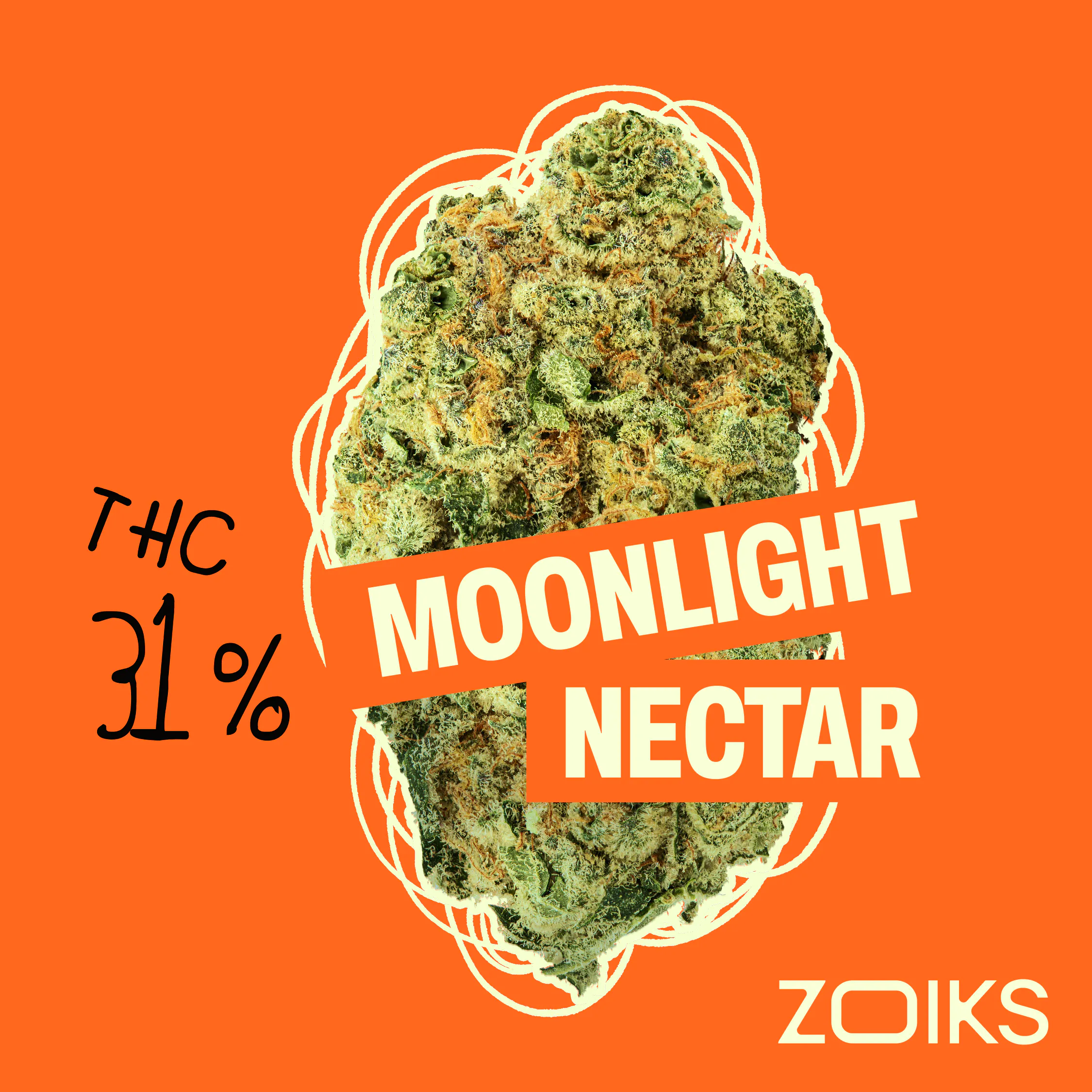 Image of Zoiks 31/1 MN