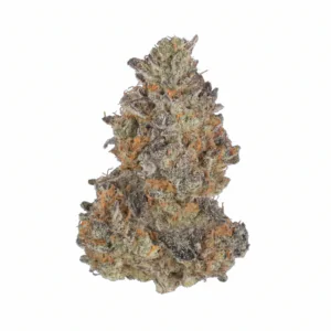 Image of Apollo 22/1 RKS