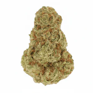 Image of Suprobion PB 22/1 Papaya Bomb