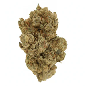 Image of Cannamedical Hybrid Forte KA GL