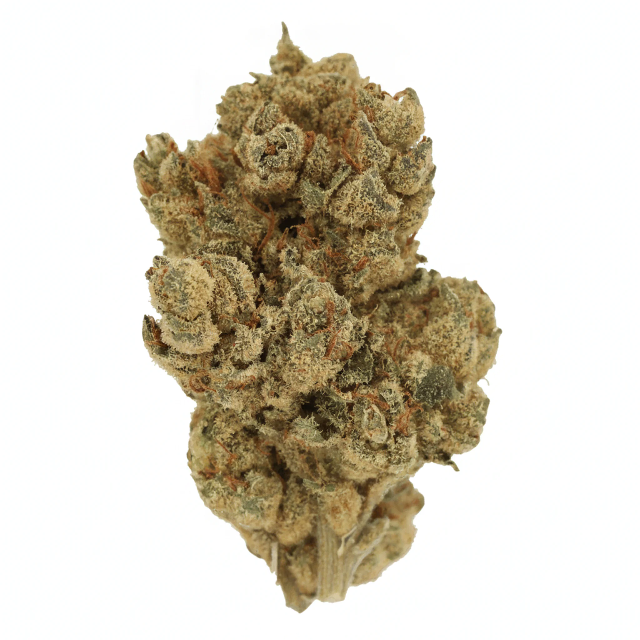 Image of Cannamedical Hybrid Forte KA GL