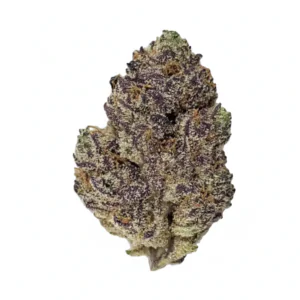 Image of Craft Kings 21/1 APS