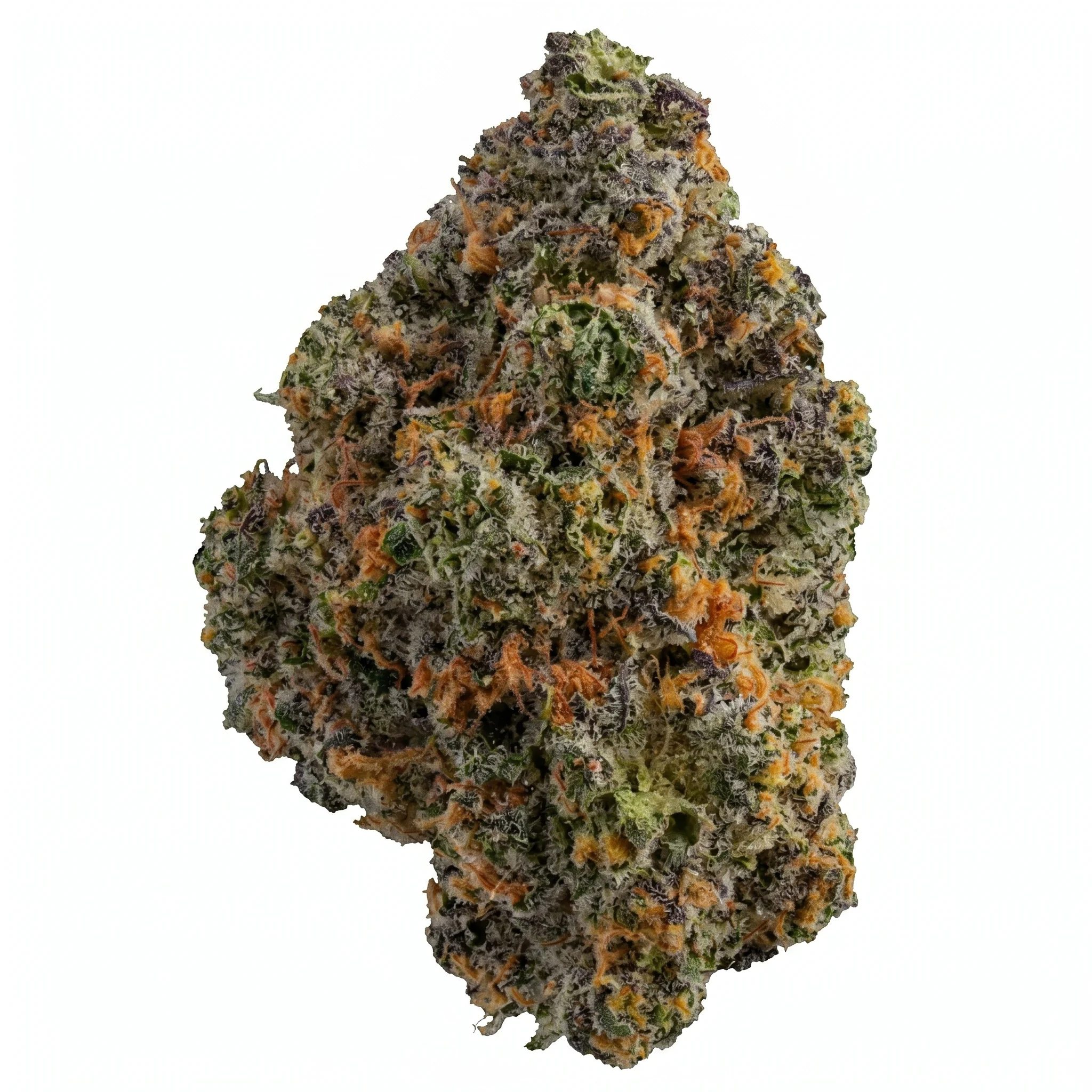 Hollymood 28/1 RS11 Rainbow Sherbert #11 Produktfoto