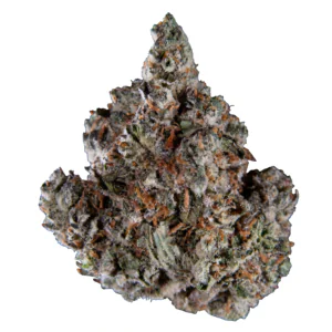 Image of Kush Collective CBH 30/1