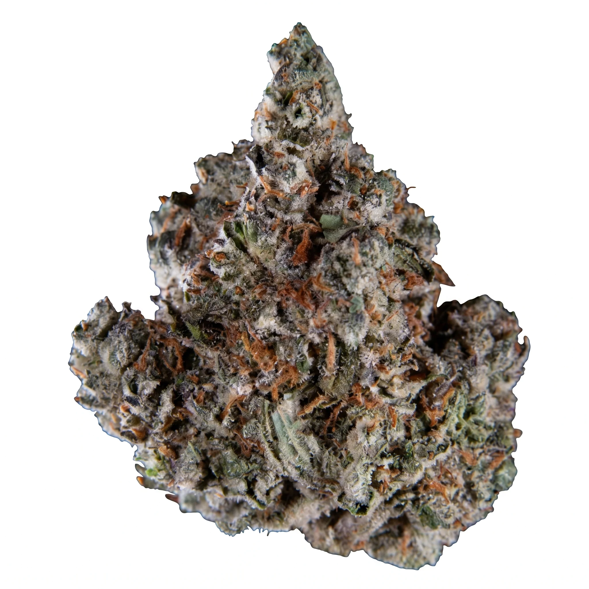 Image of Kush Collective CBH 30/1