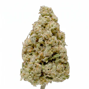 Image of Kush Collective LDS 30/1