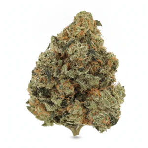 Image of Luana 22/1 GSC