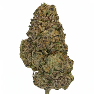 Image of THC akut 30,5 PM