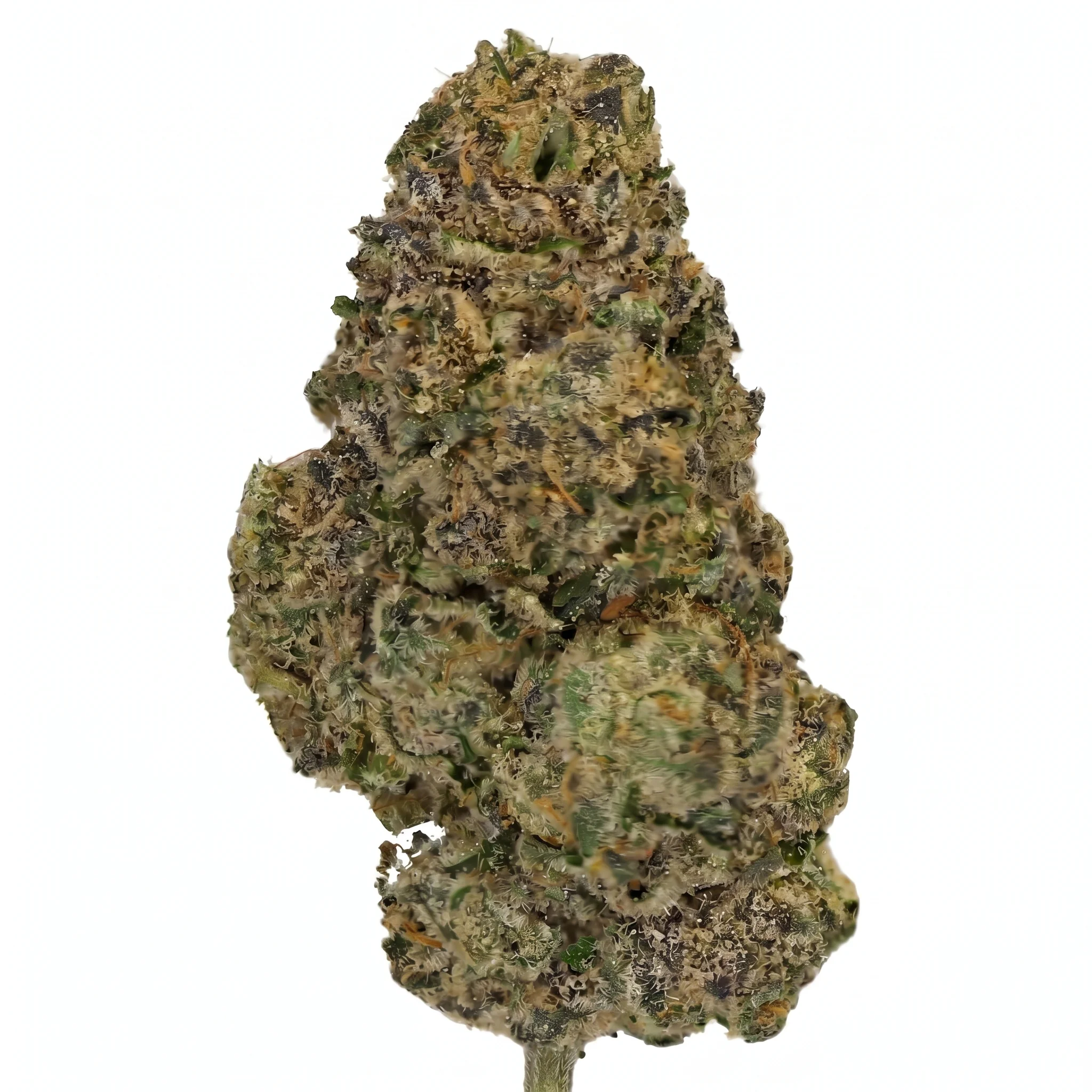 Image of THC akut 30,5 PM
