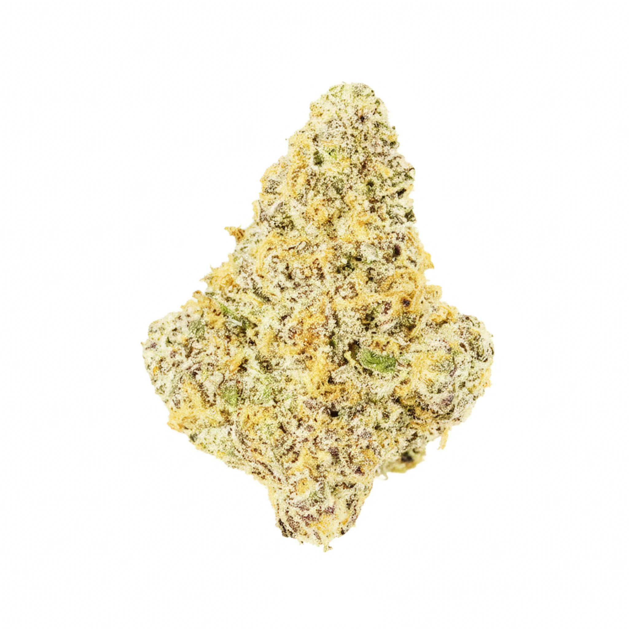 Image of 420 Evolution 22/1 CA MGD