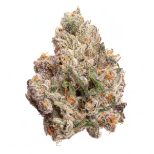 Image of 420 Evolution 30/1 CA CBB