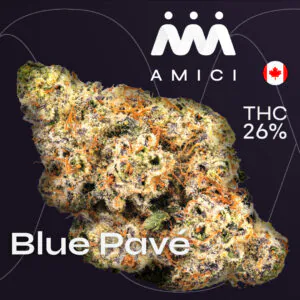 Image of 26/1 Amici BP