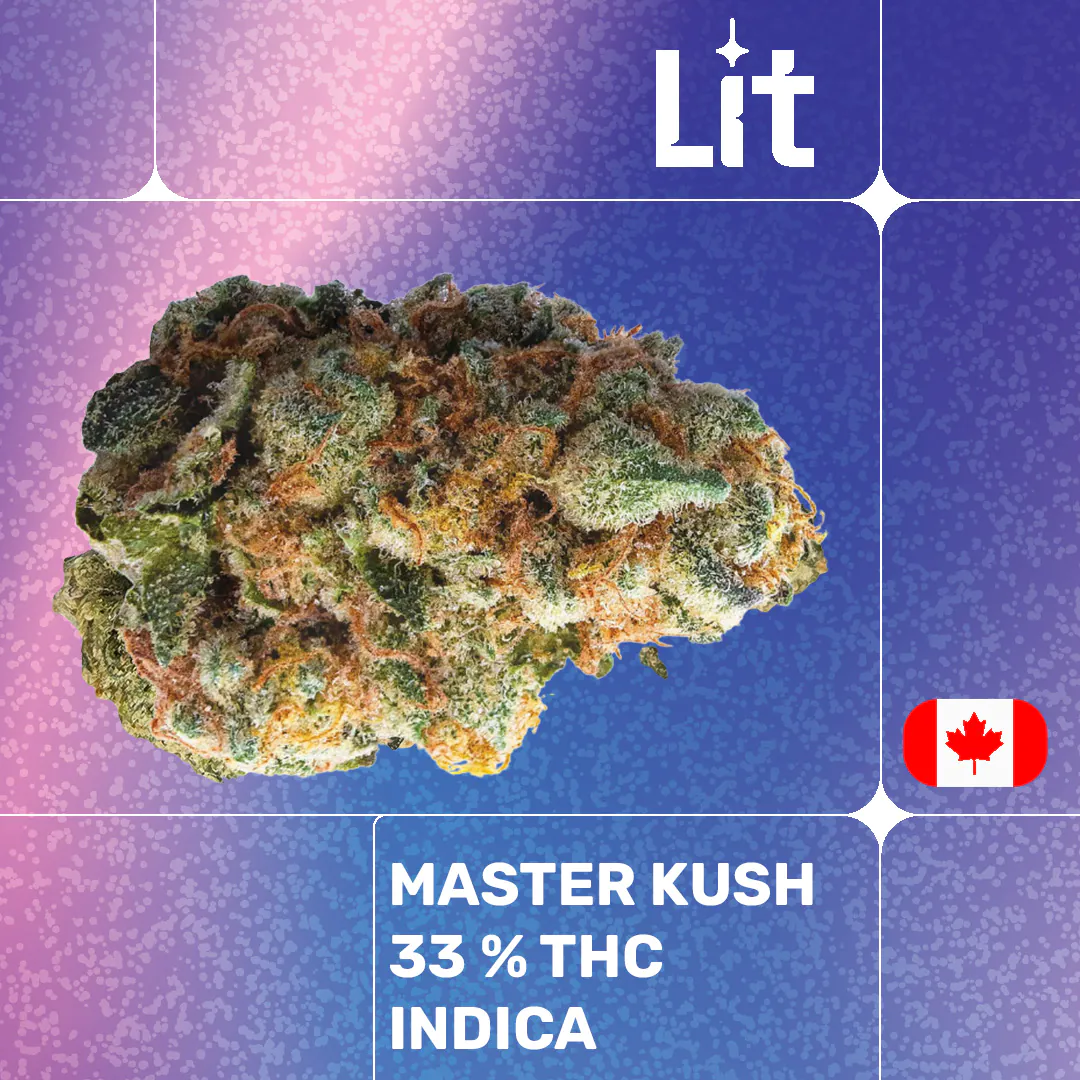 Image of LIT 33/1 MKU