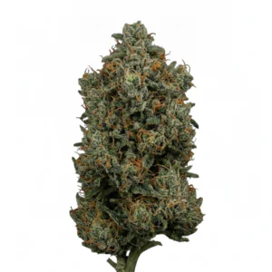 Image of APEX GEP-PT 30